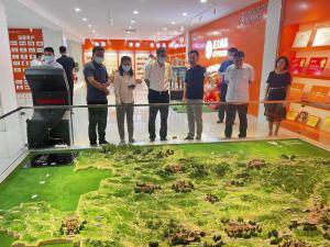 洛陽市市委常委、宣傳部長王飛莅臨洛陽正大調研