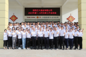 總結過去，計劃未來，協同創新，再創佳績！洛陽正大舉行2023年上半年工作總結會議