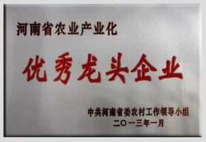 8.省***龍(lóng)頭(tóu)企業2013.1